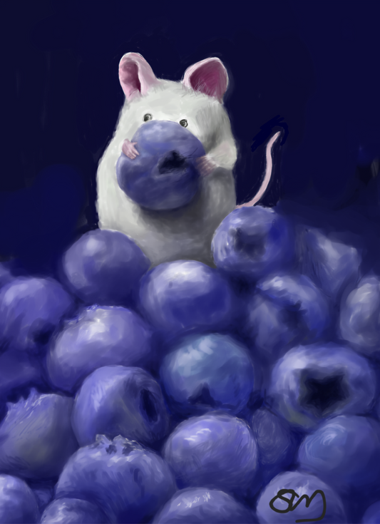 Blueberry Mouse - Print